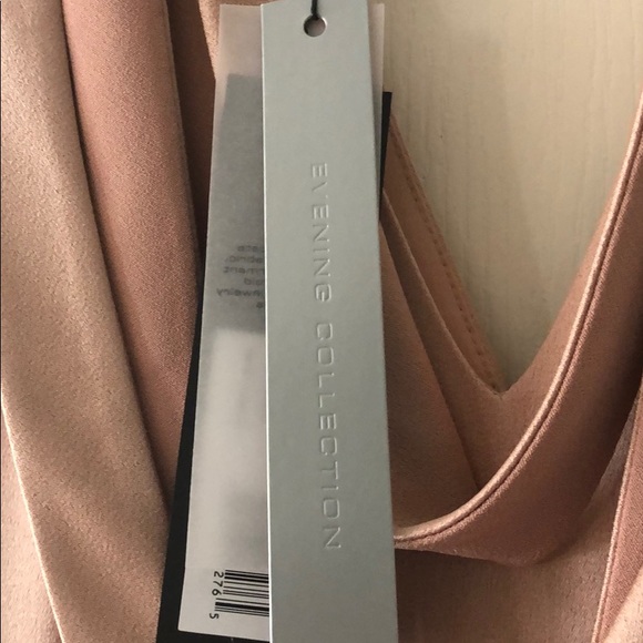 NWT Halston Champagne Blush floor length gown - Picture 2 of 14